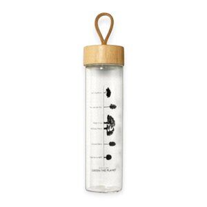 Origins Glass Water Bottle 16oz Eco Friendly Bamboo Lid Reusable Drinkware